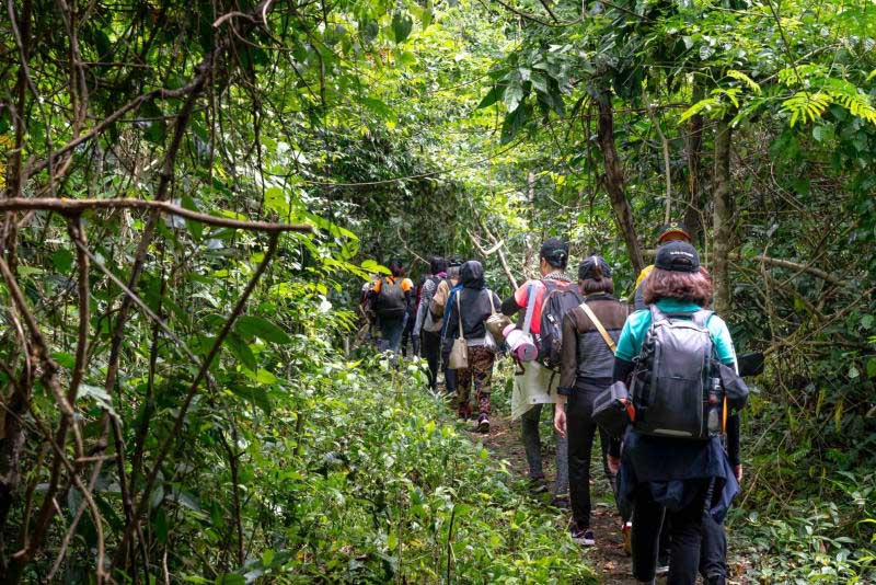 Hiking Trails Near Ho Chi Minh City